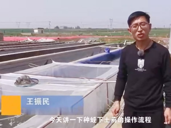 种蛭下载前操作