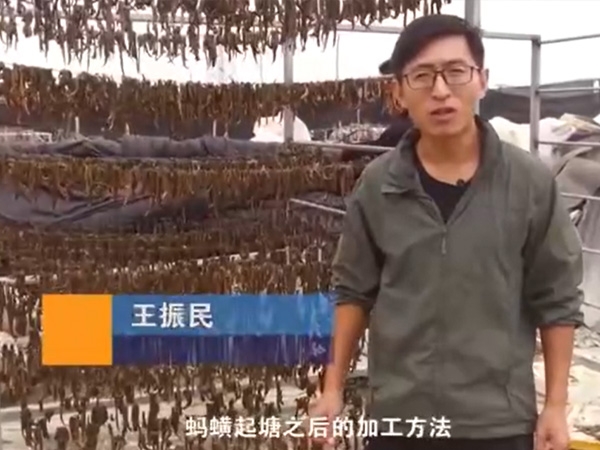 宝运莱加工步骤