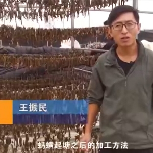 宝运莱加工步骤